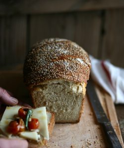 לחם קמח מלא לכריכים